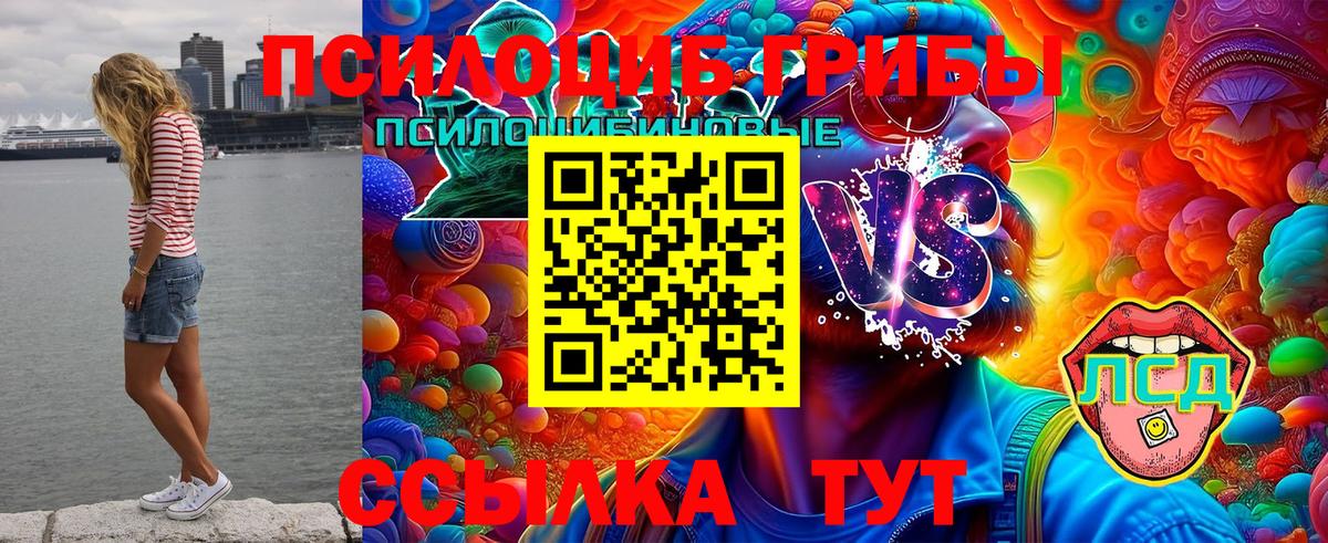 Псилоцибиновые грибы мицелий Балашов